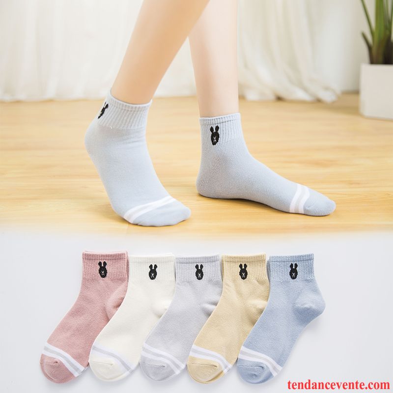 Chaussette Femme Chaussettes En Coton Vent De L'université Chaussette Longue Milieu Sport Mince