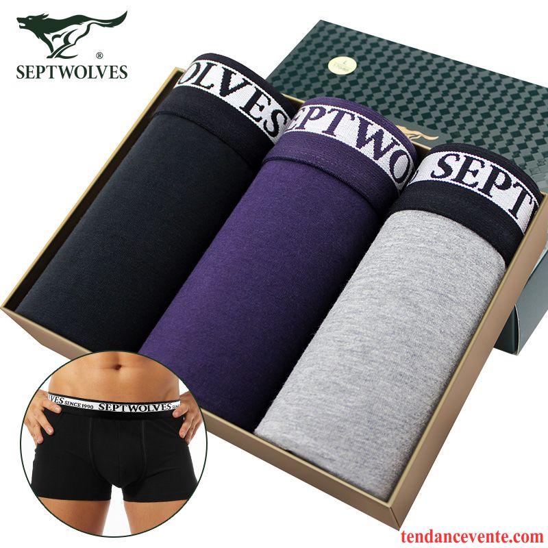 Sous-vêtements Camionneur Homme Homme Loup Matelassé Middle Waisted Respirant Jeunesse L'automne Noir
