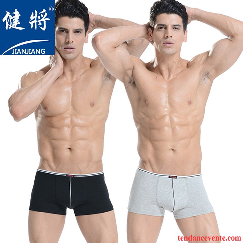 Sous-vêtements Noir Col Rond Homme Sexy Baggy Respirant Homme Middle Waisted Jeunesse Sport