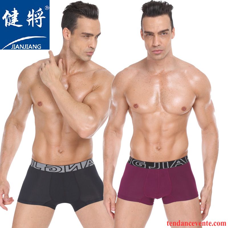 Sous-vêtements Noir Col Rond Homme Sexy Baggy Respirant Homme Middle Waisted Jeunesse Sport