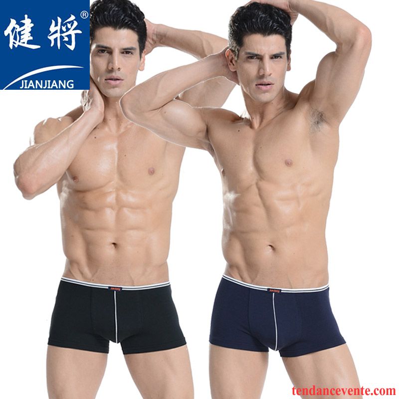 Sous-vêtements Noir Col Rond Homme Sexy Baggy Respirant Homme Middle Waisted Jeunesse Sport