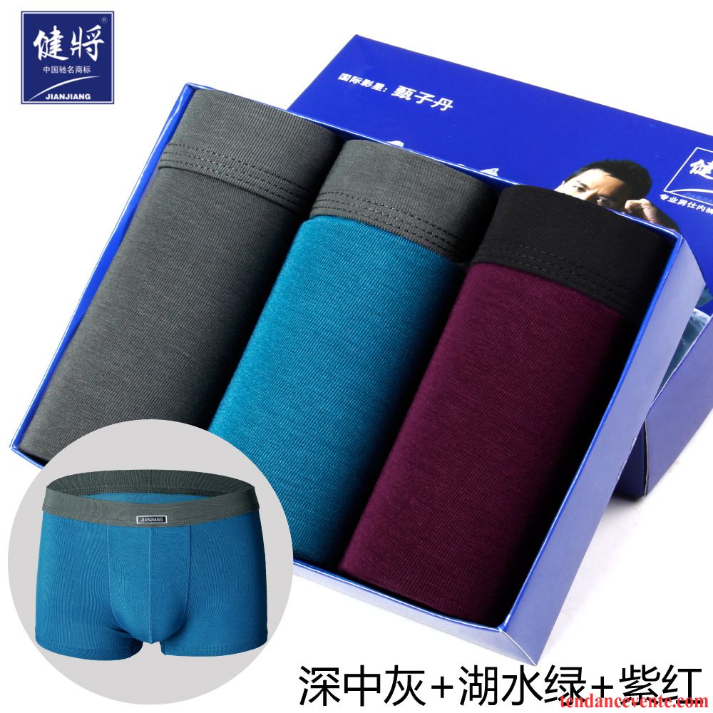 Sous-vêtements Pour Jeune Homme Sport Homme Jeunesse Respirant Sexy Taillissime Ambre